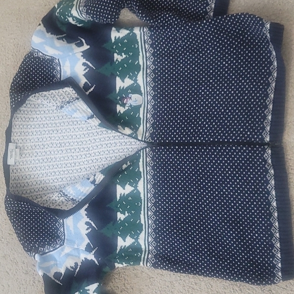 Northern Reflections  V-neck Cardigan Sweater in Blue, green, white mix size M - Picture 3 of 15
